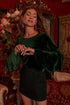Everson Velvet Ruffle Tiered Sleeve Top